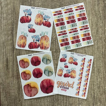 Load image into Gallery viewer, WATERCOLOUR PUMPKINS Collection
