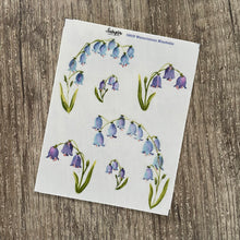 Load image into Gallery viewer, WATERCOLOUR BLUEBELLS Collection
