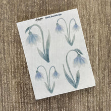 Load image into Gallery viewer, SNOWDROPS Collection
