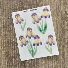 Load image into Gallery viewer, IRISES Collection
