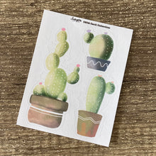 Load image into Gallery viewer, Cacti Collection
