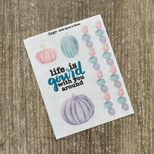 Load image into Gallery viewer, PASTEL PUMPKINS Collection
